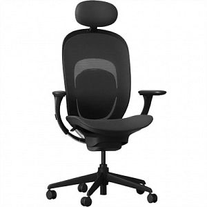 Компьютерное кресло Xiaomi Yuemi YMI Ergonomic Chair, черное (RTGXY01YM)
