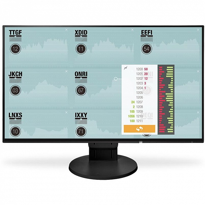Full HD монитор Eizo FlexScan EV2451 - фото 1