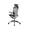 Премиум эргономичное кресло GT Chair Dvary X Pro, чёрный (GTC-Dvary-X-PRO-BK) - фото 5