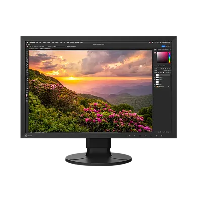 WUXGA монитор Eizo ColorEdge CS2400S - фото 1