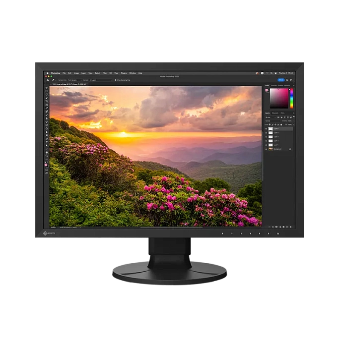 WUXGA монитор Eizo ColorEdge CS2400S - фото 1