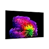 4K телевизор LG OLED55G6RLA - фото 2