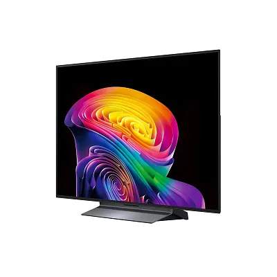 4K телевизор LG OLED48C6RLA - фото 4