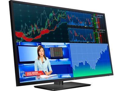 4K монитор HP Z43 (1AA85A4) - фото 2