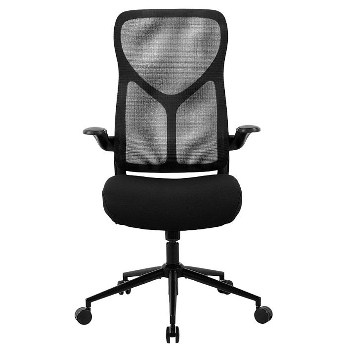 Компьютерное кресло ZONE 51 FREELANCER Y2 Black (Z51-FY2-BK) - фото 1