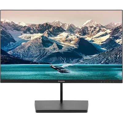 Full HD монитор DIGMA Progress 24P501F (DM24SB01) - фото 1