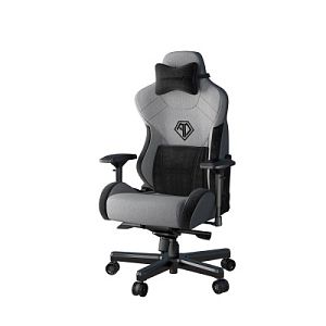 Компьютерное кресло AndaSeat T-Pro 2, серый (AD12XLLA-01-GB-F)