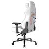 Компьютерное кресло DXRacer CRA/DL5000/THINKER - фото 5