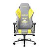 Компьютерное игровое кресло DXRacer CRA/D5000/GY - фото 1
