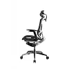 Премиум эргономичное кресло GT Chair Dvary X Pro, чёрный (GTC-Dvary-X-PRO-BK) - фото 4