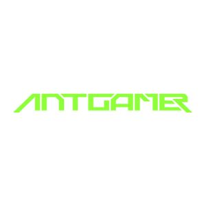 Анонсирован киберспортивный монитор Antgamer ANT255VF