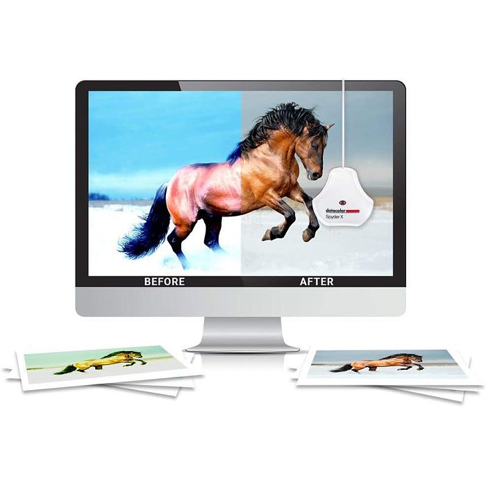 Комплект для калибровки Datacolor SpyderXSTUDIO (SXSSR100) - фото 4