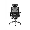 Премиум эргономичное кресло GT Chair Dvary X Pro, чёрный (GTC-Dvary-X-PRO-BK) - фото 2