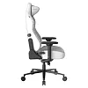 Компьютерное кресло DXRacer CRA/DXL5000/THINKER - фото 2