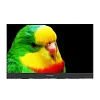 Портативный 4K OLED монитор ViewSonic VX1622-4K - фото 1