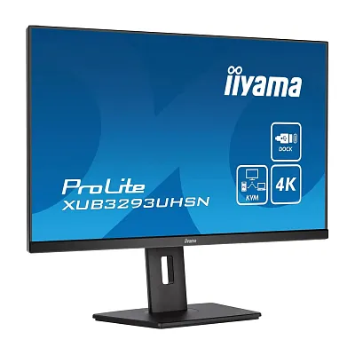 4K монитор iiyama ProLite XUB3293UHSN-B5 - фото 4