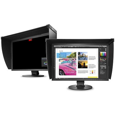 4K монитор Eizo ColorEdge CG319X - фото 3