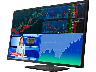 4K монитор HP Z43 (1AA85A4) - фото 4