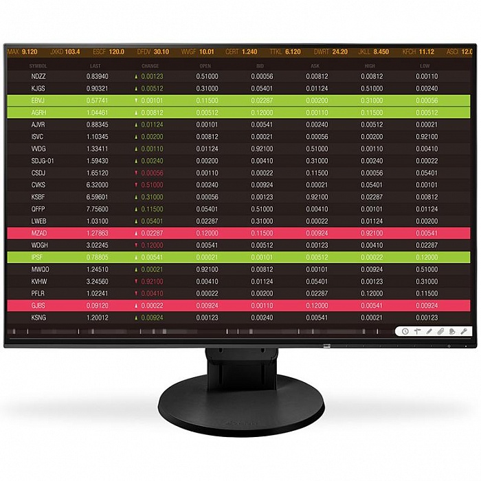 WUXGA монитор Eizo FlexScan EV2456 - фото 1