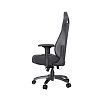 Компьютерное кресло AndaSeat Throne Premium, черный (AD17-07-B-PV/C) - фото 2