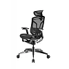 Премиум эргономичное кресло GT Chair Dvary X Pro, чёрный (GTC-Dvary-X-PRO-BK) - фото 1