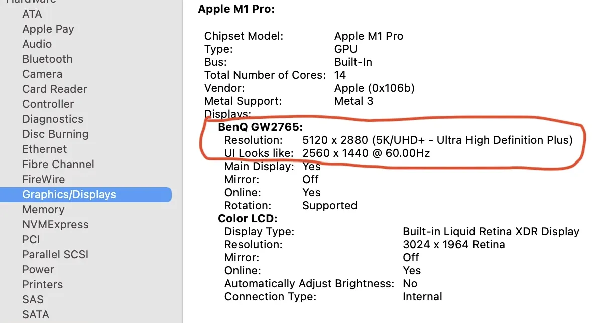 Выбор монитора для Apple macOS в 2026